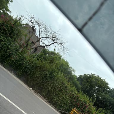 Abhinav Singal