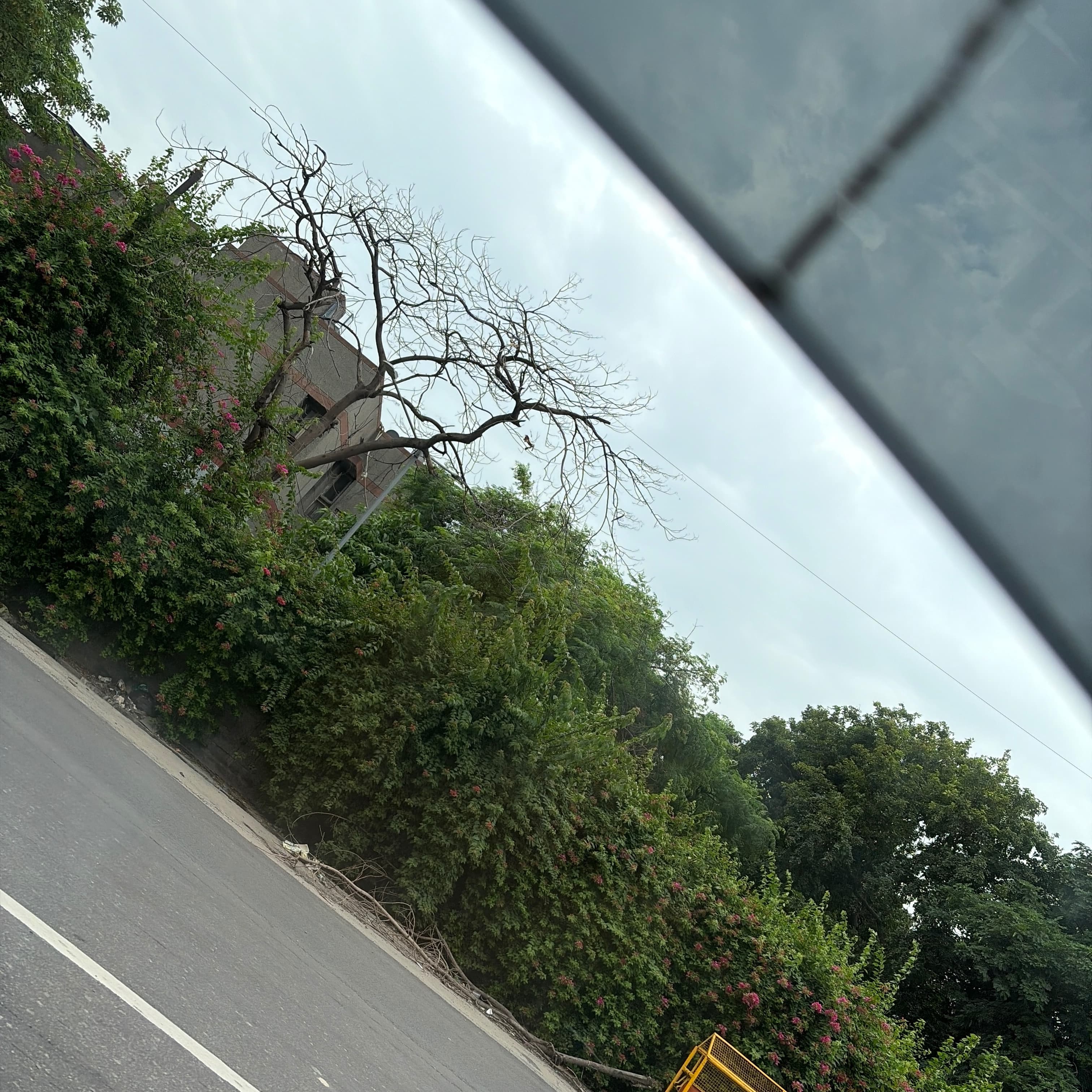 Abhinav S.