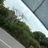 abhinav_singal