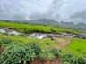 Adventurous Nashik